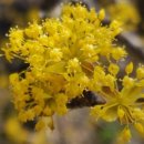 구례산동농협하나로마트 이미지