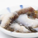 해삼 이미지