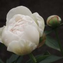 아름다운인연 이미지