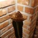 동양장(동양모텔) 네이버블로그