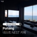 호미곶 | ⟦ 경북 /포항 ⟧ 호미곶 네스트카페 내돈내산 후기