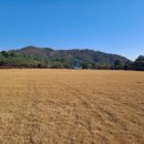 현충원로3 이미지