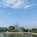 밤소리글램핑 이미지