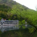 기린07-2 이미지