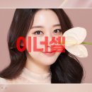 이너셀