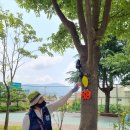 안성유치원 이미지