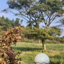 알밤오름하우스 이미지