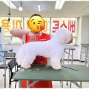 베스트 의정부 애견 미용학원 이미지