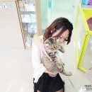 정수동물병원 이미지