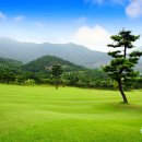 부곡사우나 이미지