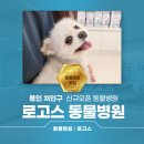 로고스치과병원 | 용인 처인구 동물병원 추천 로고스동물병원 신규오픈 방문후기
