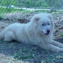 화성농장 이미지