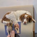 경대병원역(2호선) 이미지