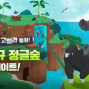 포레스트 이미지