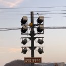 동남호대게 이미지