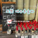 [제주도 여행] 혼자 가도 좋은 또똣 제주혼술바 , 둘이서 다녀온 후기