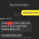 새해 인사 뜻밖의 답장 이미지