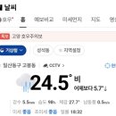 보라네야채