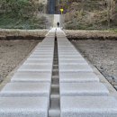 대덕산로 이미지