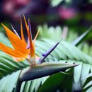 파라다이스통상 이미지