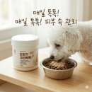 진바이오텍 | ​강아지알러지 영양제ㅣ겉만 관리했던 피부, '오아가 귀리톡톡' 섭취 결과?