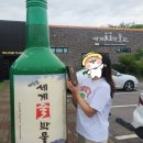 세계술박물관 | 꼭가야할 제주도 세계술박물관 입장료 관람과 시음후기까지