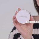 백조와 믿음 이미지