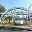 꽃과난 | 양재꽃시장 꽃집 심플라워 가성비 웨딩촬영 부케 후기