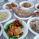 생일면-1 Daum카페