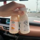 제주 보고정 투어 | [애월] 제주 2박3일 여행코스 ｜애월·한림 맛집 카페부터 소품샵까지 총정리 🍊