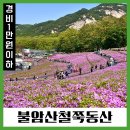 노원동화타운경로당 | 서울 봄꽃 축제 불암산 힐링타운 철쭉 축제 가는길
