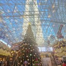 은하수도서관 | 코엑스 별마당도서관 크리스마스, ㅡ“책 속에 들어간 듯한” 황금빛 겨울 산책 겨울이 되면 서울에서...