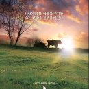 영화 &#34;워낭소리&#34; 를 한번 보세요 눈물이 너무 흘러요 이미지