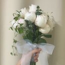 파인트리플라워 이미지