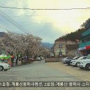 계룡산동학사스타 네이버블로그