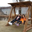 오선초등학교 이미지