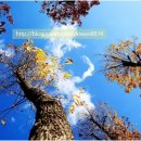 바람처럼구름처럼 이미지