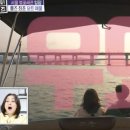 올인결혼 이미지