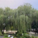 중앙제2근린공원 이미지