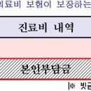 실생활에서 실손보험 100％ 활용법 이미지