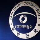 미미여행사 이미지