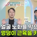 팩트체크