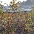 정안농장 이미지