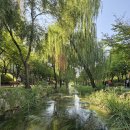 패랭이공원 내 이미지