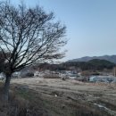 금곡목장 네이버블로그