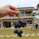 해오름 자동차서비스 이미지