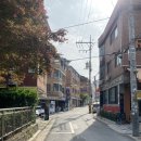 아프리쿠스(apricus)