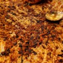 춘천골닭갈비 이미지