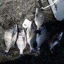 수출대로3길 이미지