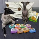 동그랑댕 이미지